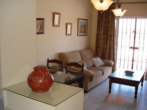 تلفزيون، مدفأة