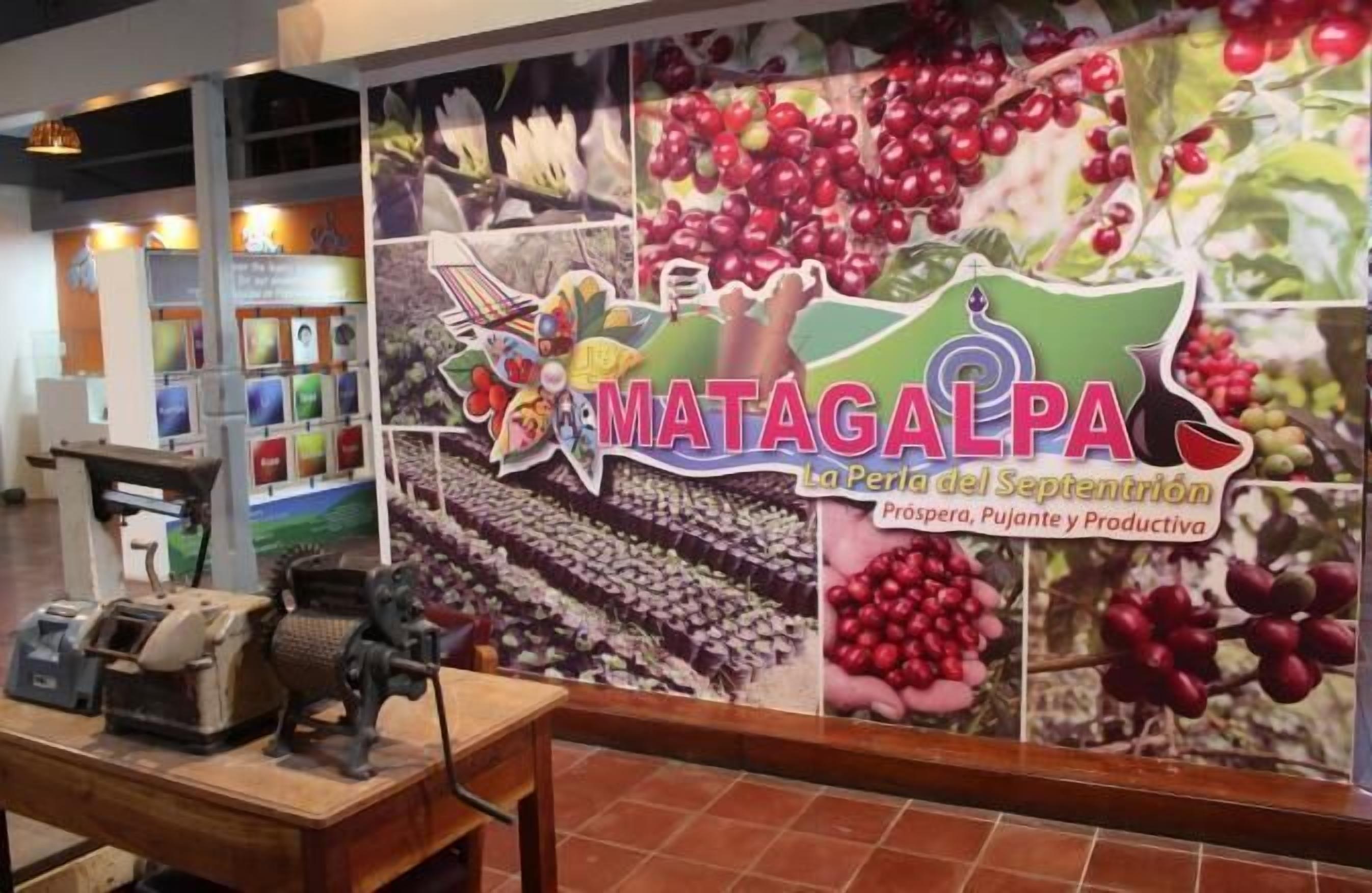 Une affiche sur laquelle on peut lire « MATAGALPA, la perle de septembre », et qui présente des images de plants de café et de grains de café.