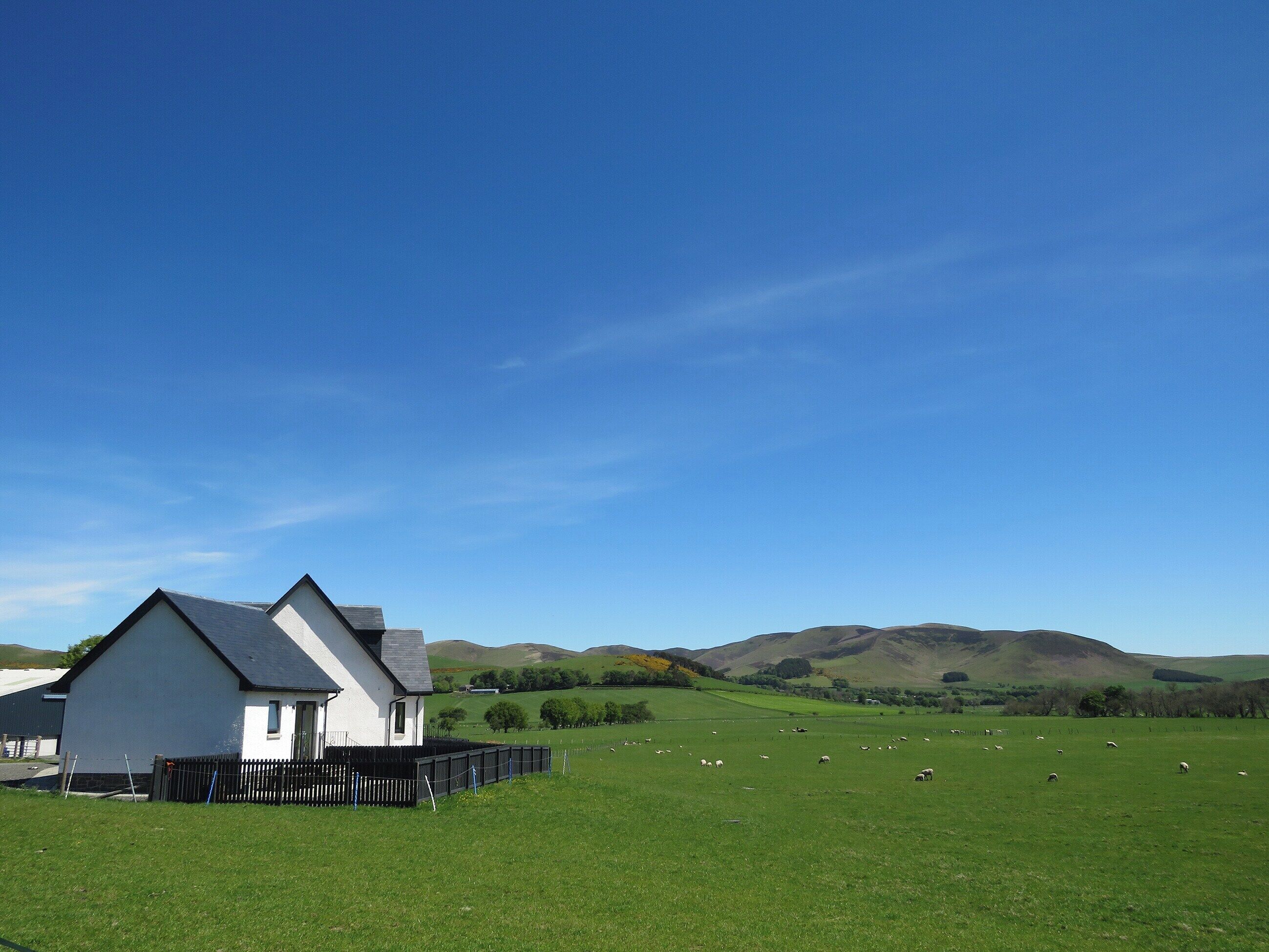 A white house with a black roof and a fenced yard.