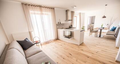Beautiful, quiet, spacious apartment with a wonderful view of Brixen for 4 pers