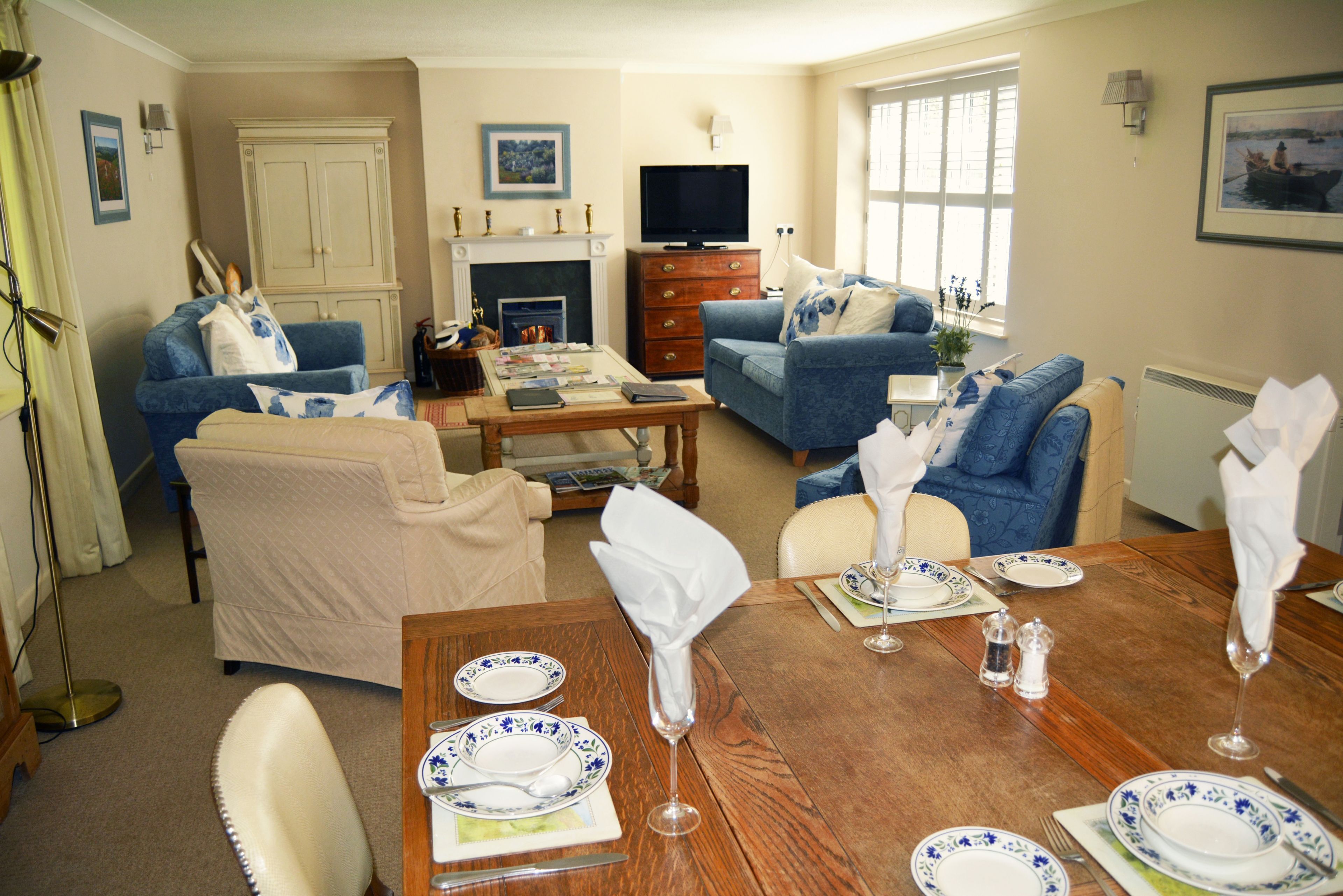 TV, fireplace, DVD player