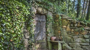 Eine rustikale Steinmauer mit einer Holztür, teilweise von Efeu überwuchert.