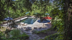 Ein Schwimmbecken mit Steinfliesen, umgeben von Gartenmöbeln und Sonnenschirmen, eingebettet in eine üppige, bewaldete Landschaft.