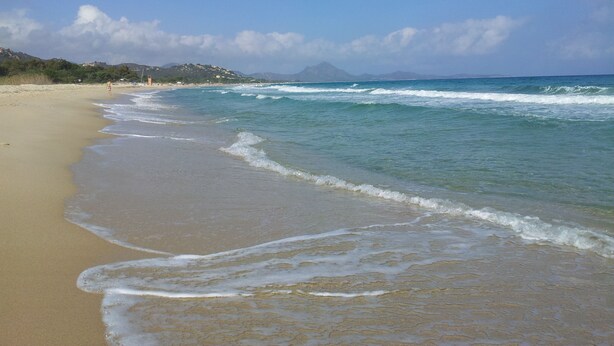 Una playa con cielos despejados y olas suaves.