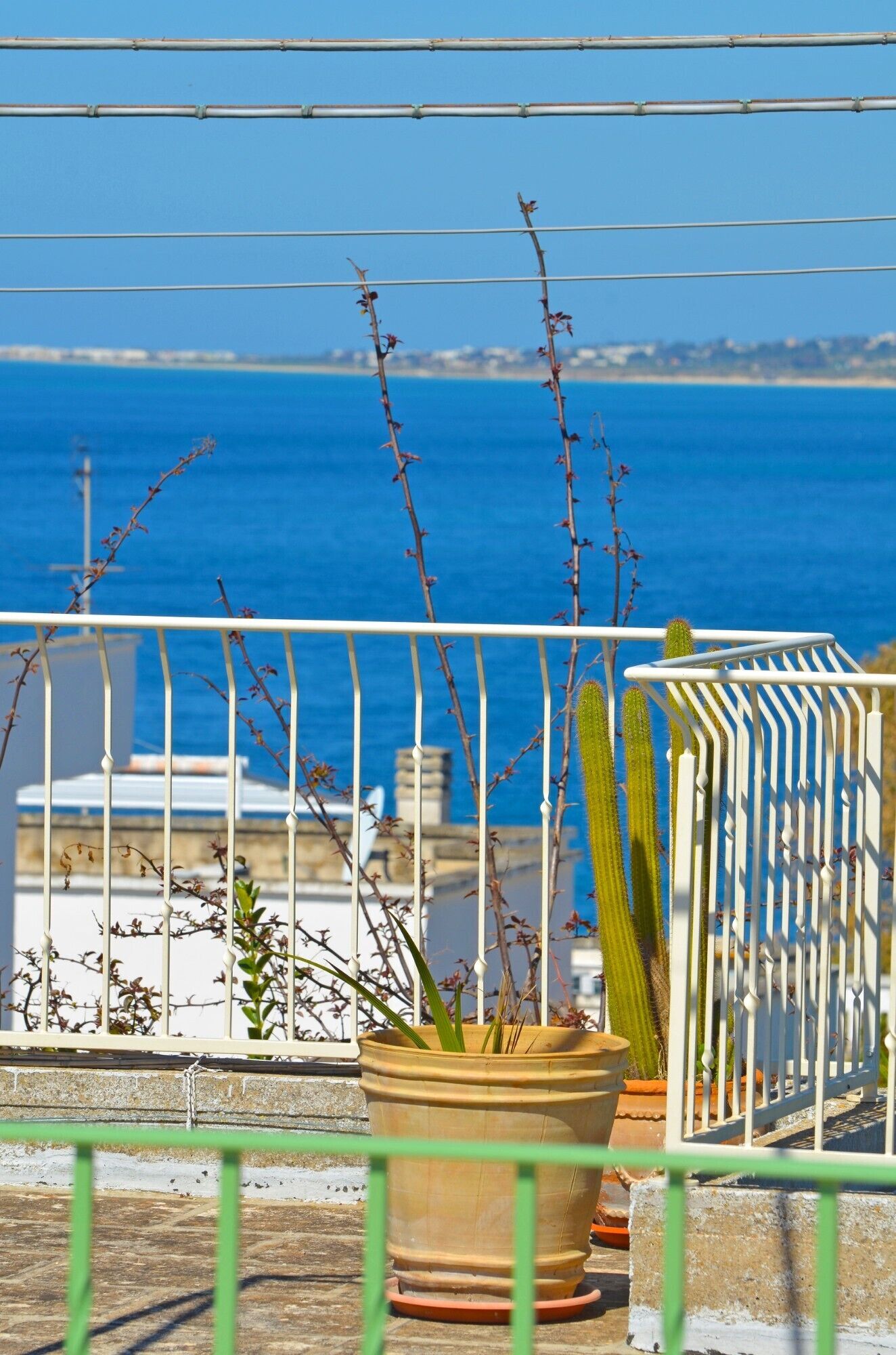 Un balcón con vista al mar, un cactus y una planta en maceta.