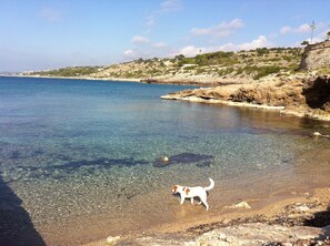 Beach nearby - Apartment with large garden and car parking a few steps from the sea (Patù)