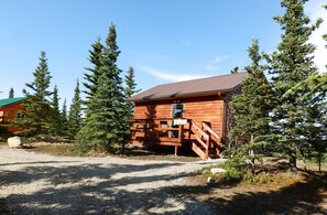 Situated in a forested area, this cabin features a front porch and a wooden staircase leading up to the entrance.