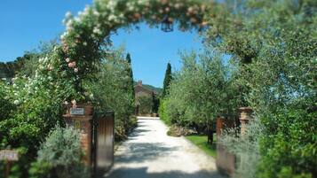 Parco della struttura