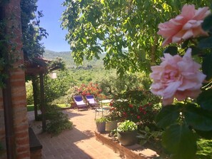 Terrace/patio - Frantoio home with pool and Jacuzzi in the Fontanaro estate (PACIANO)