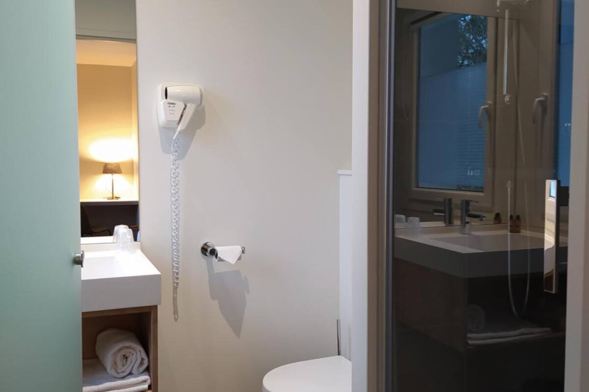 shower, free toiletries, hair dryer, towels
