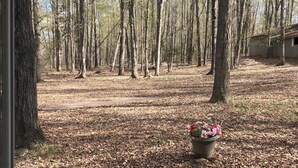 A forested area with a wooden deck leading into a clearing.