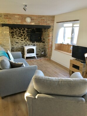 Smart TV, chimenea y reproductor de DVD 