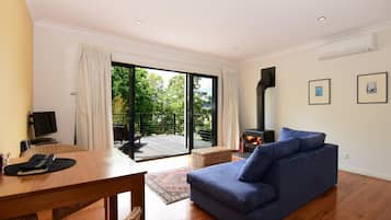 TV, fireplace, DVD player