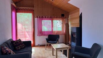 TV, fireplace, DVD player, books