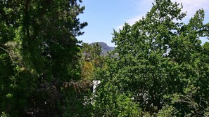 Terrain de l’hébergement 