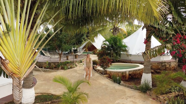 A tropical resort with a swimming pool, hammocks, and lush greenery.