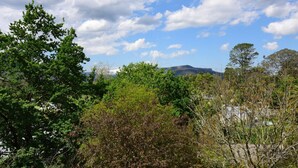 A natural landscape with dense foliage and a mountain in the background. - Cloudsong Chalet 3 - Close to the village centre! (KANGAROO VALLEY)