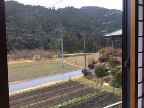 Japanese Style Room with Kaiseki Cuisine, Accessible | View from room - Minshuku Ryokan Kawai (Shinshiro)