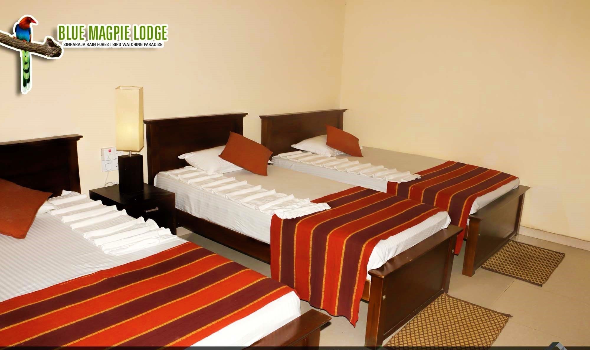 Habitación de hotel con tres camas, cada una con cubrecama y almohadas a rayas. Hay una mesita de noche con lámpara y toma de corriente.