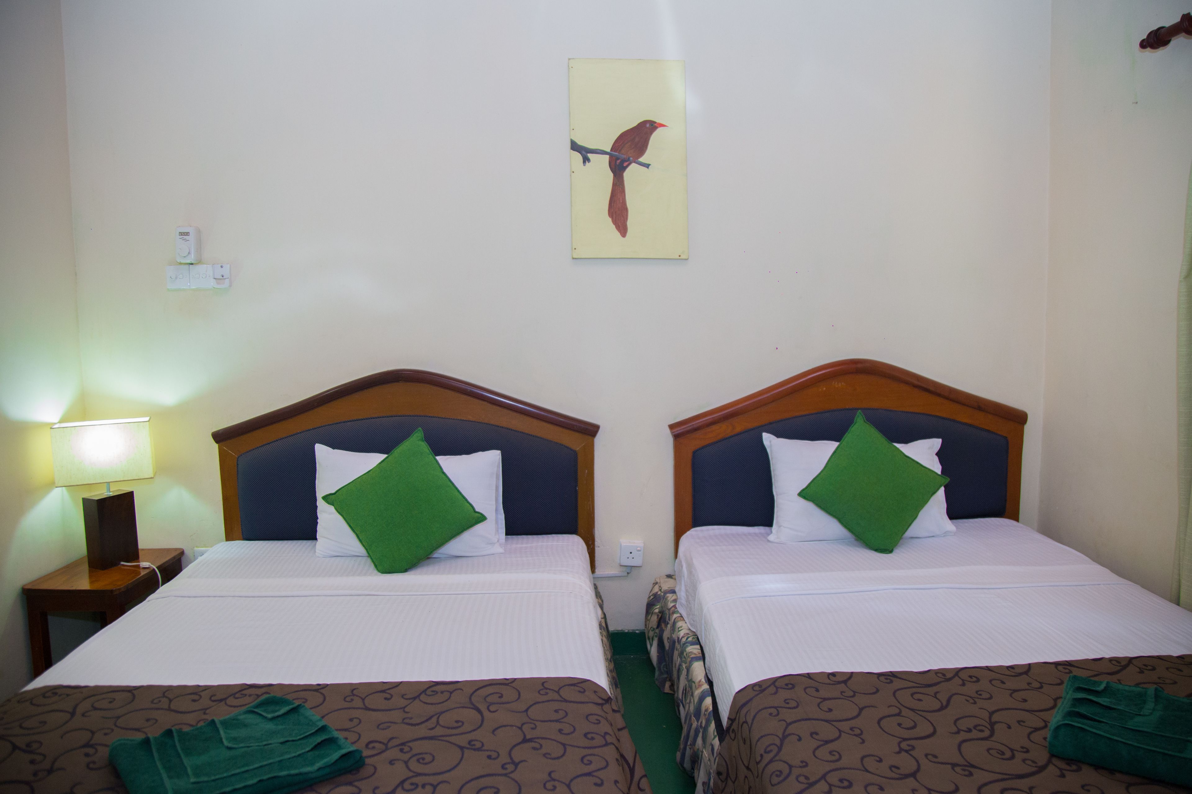 Une chambre d’hôtel avec deux lits, chacun doté d’une tête de lit en bois, d’oreillers verts et d’une couvre-lit à motifs. On y trouve une table de chevet avec une lampe et une prise électrique murale.