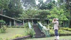 A person taking a photo with a camera, standing in front of a building with a staircase leading up to a green-roofed structure. - Blue Magpie Lodge (Kalawana)