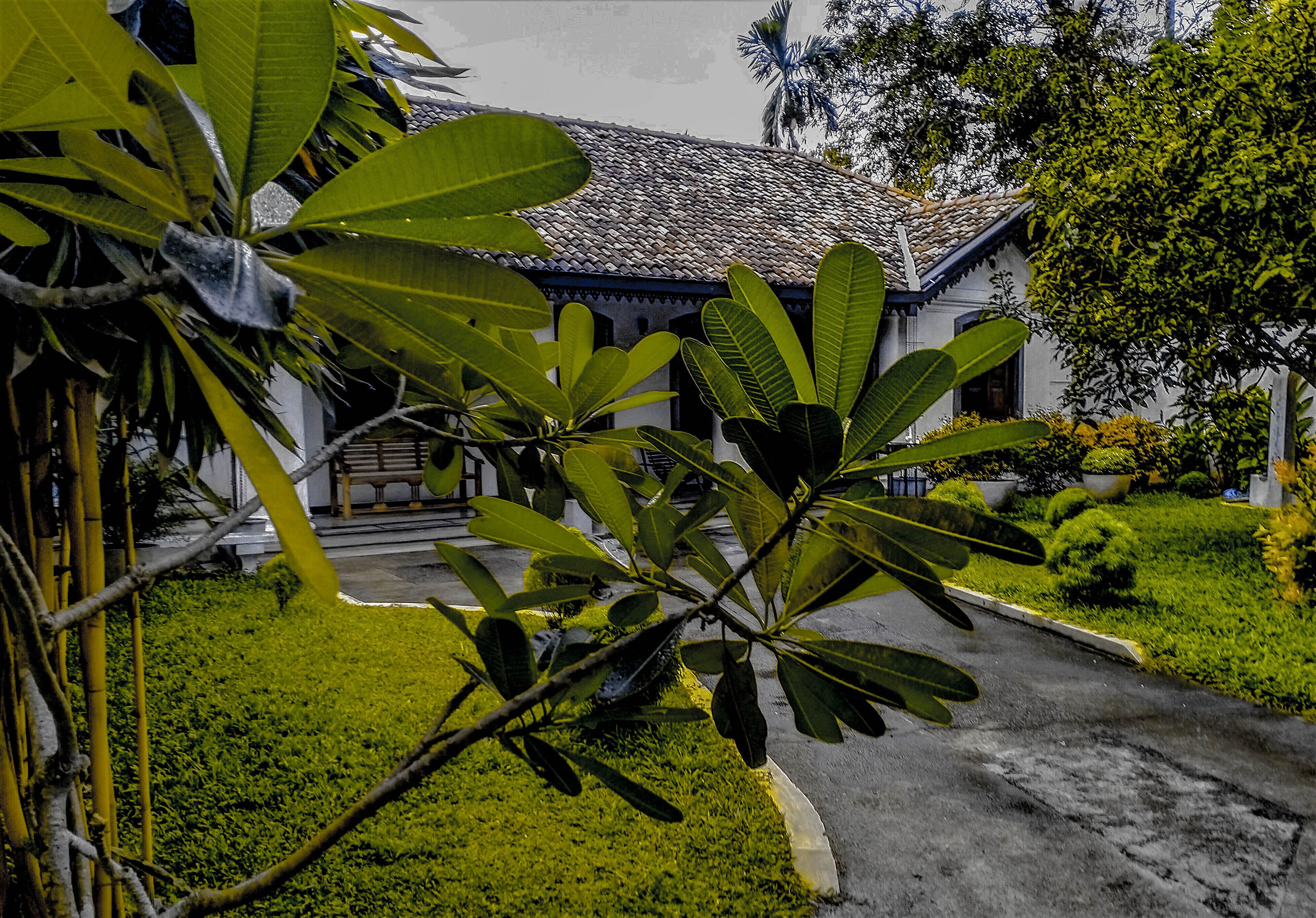 Front of property