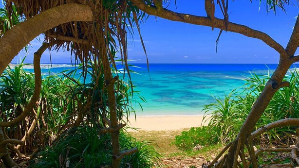 Uma praia com águas turquesa cristalinas, rodeada por vegetação exuberante e palmeiras.