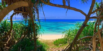 Vistas a la ciudad desde el alojamiento