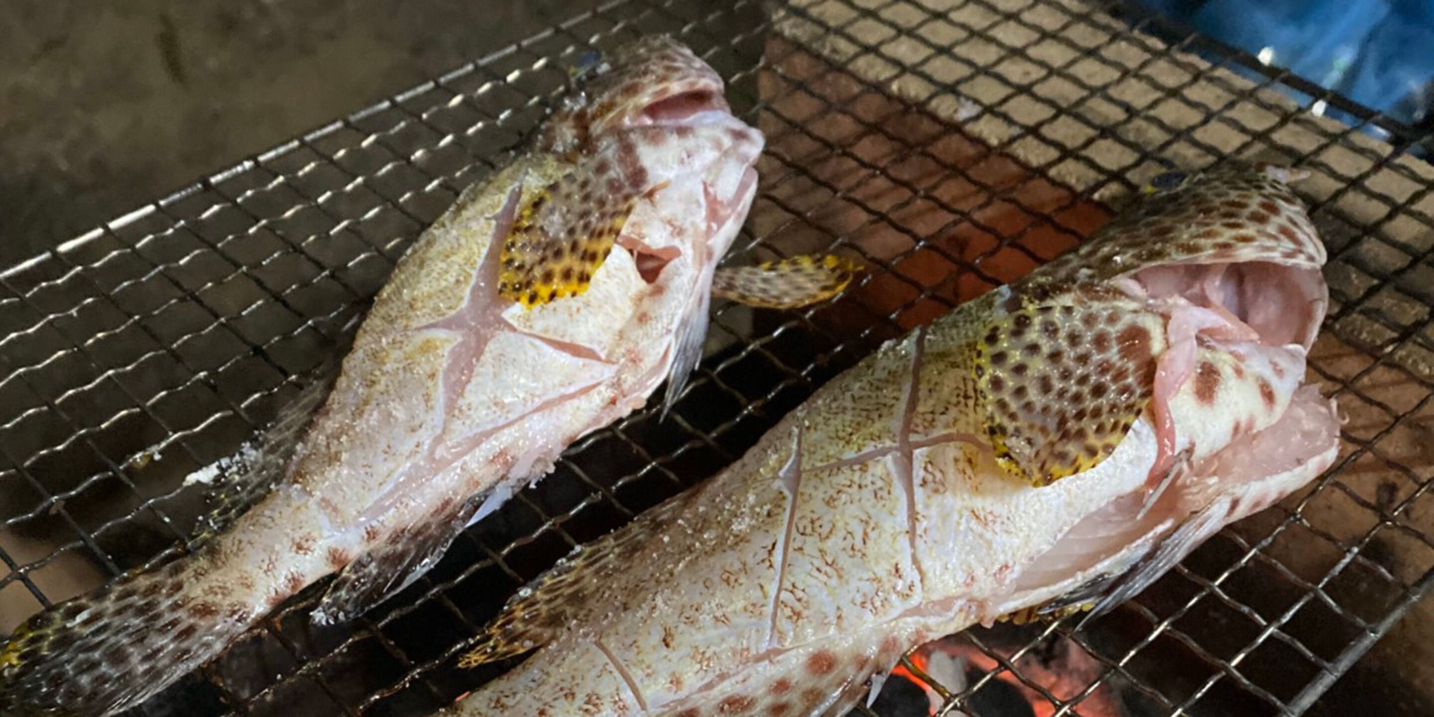 Deux poissons entiers sur un grill, on peut voir les épices et une grille métallique.