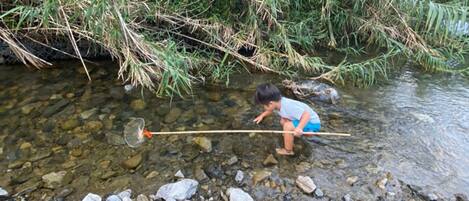 A child playing in a shallow stream with rocks and vegetation around.