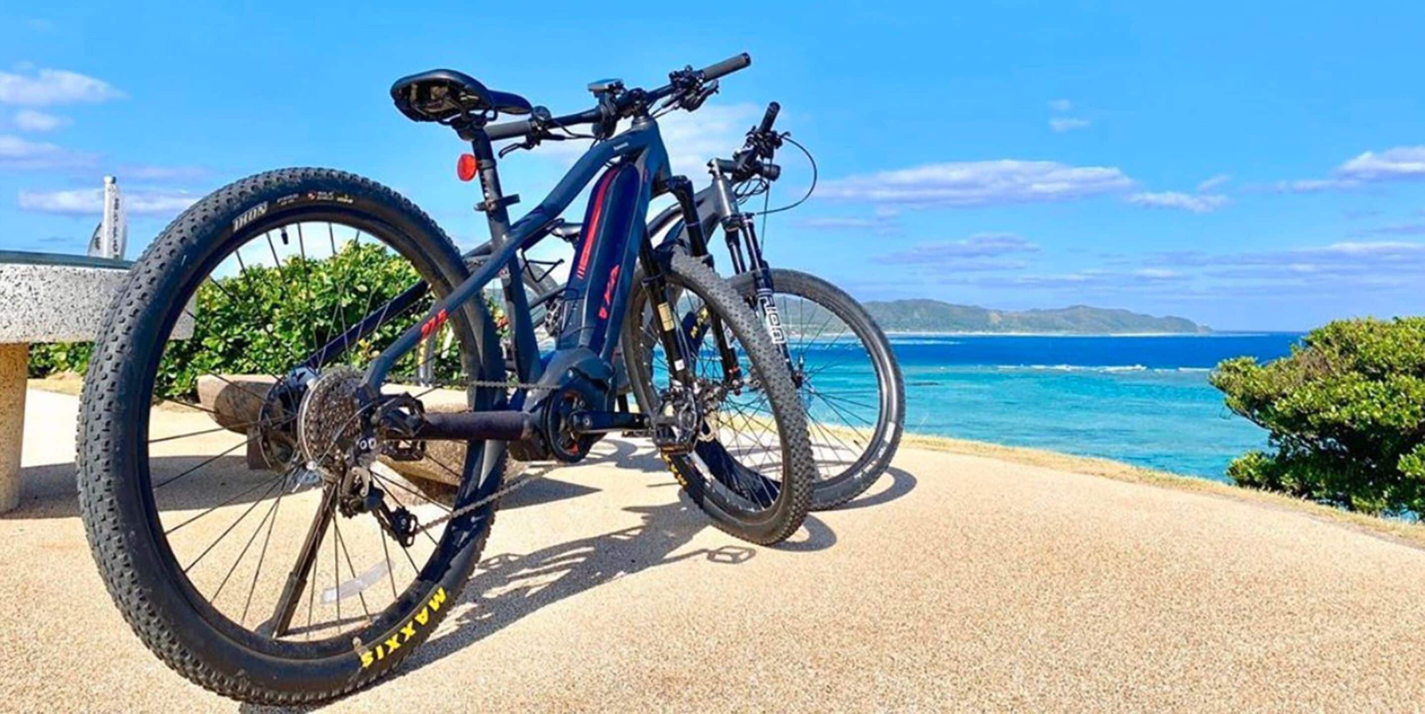 A mountain bike parked on a concrete surface with a scenic ocean view in the background.