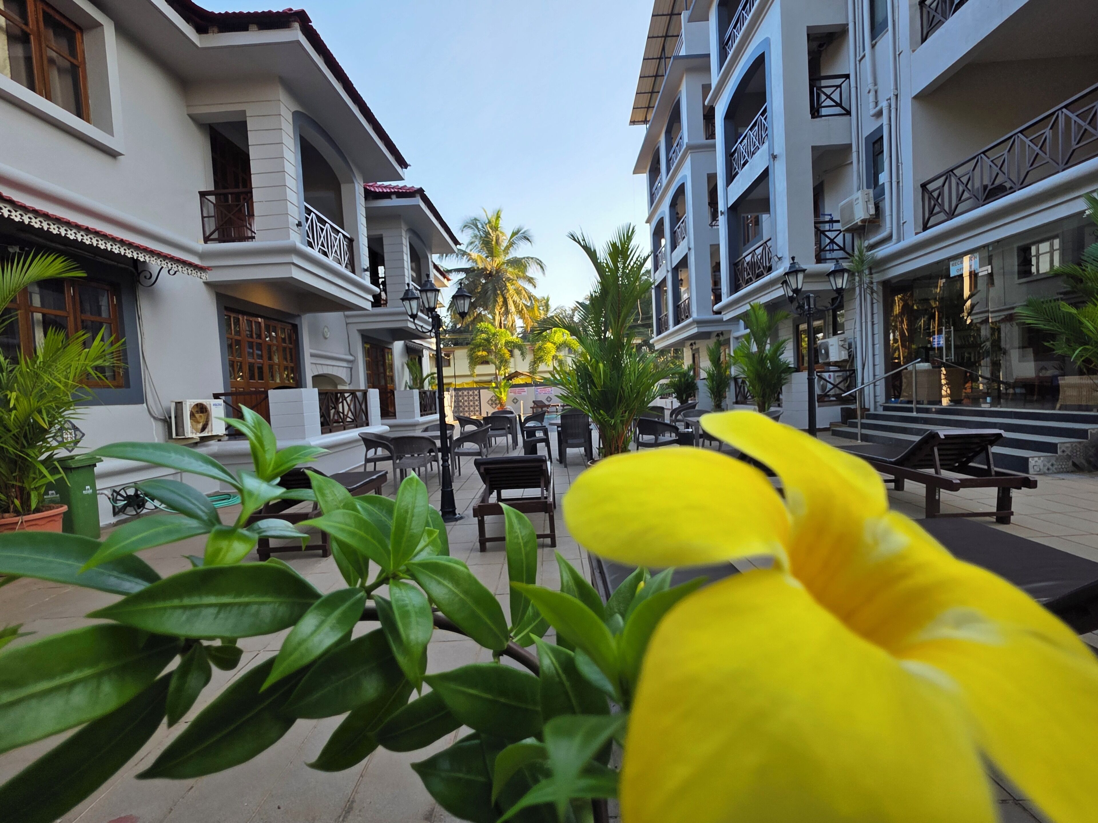 A courtyard with outdoor seating, palm trees, and buildings with balconies.