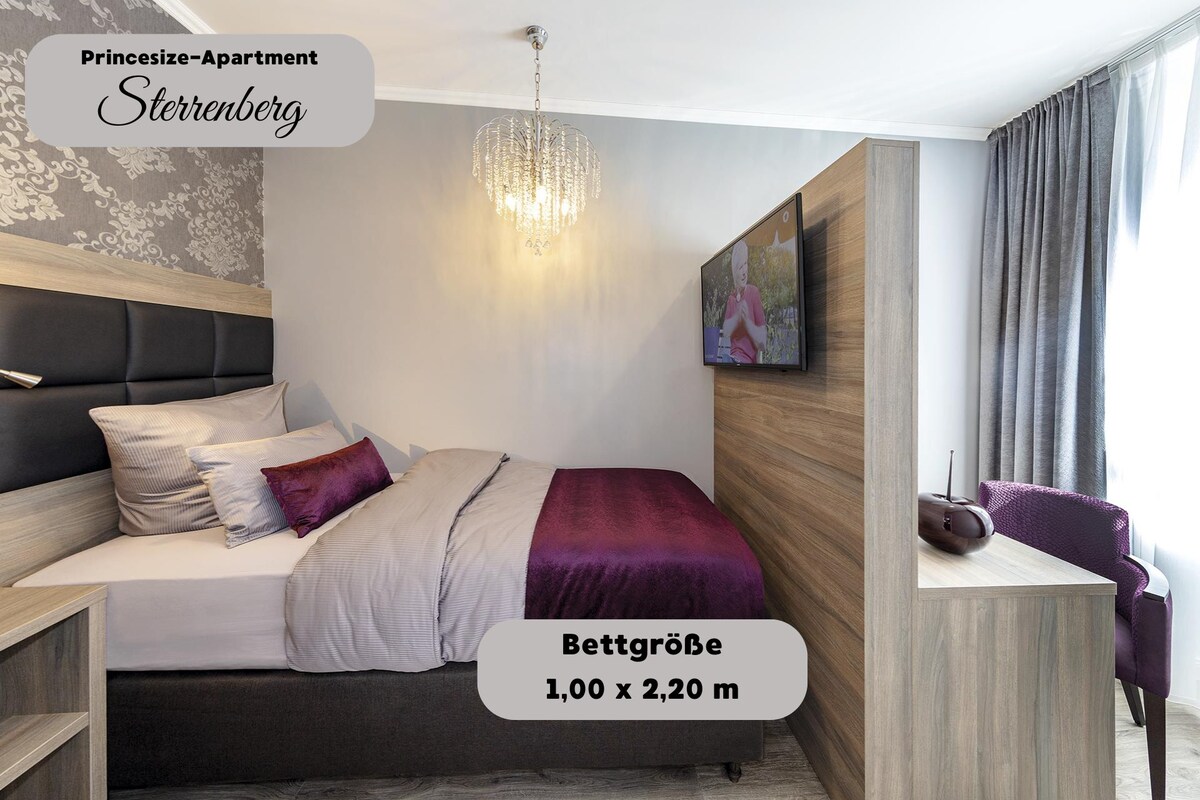  Princesize-Apartment Sterrenberg | Hypo-allergenic bedding available, in-room safe, desk, laptop workspace