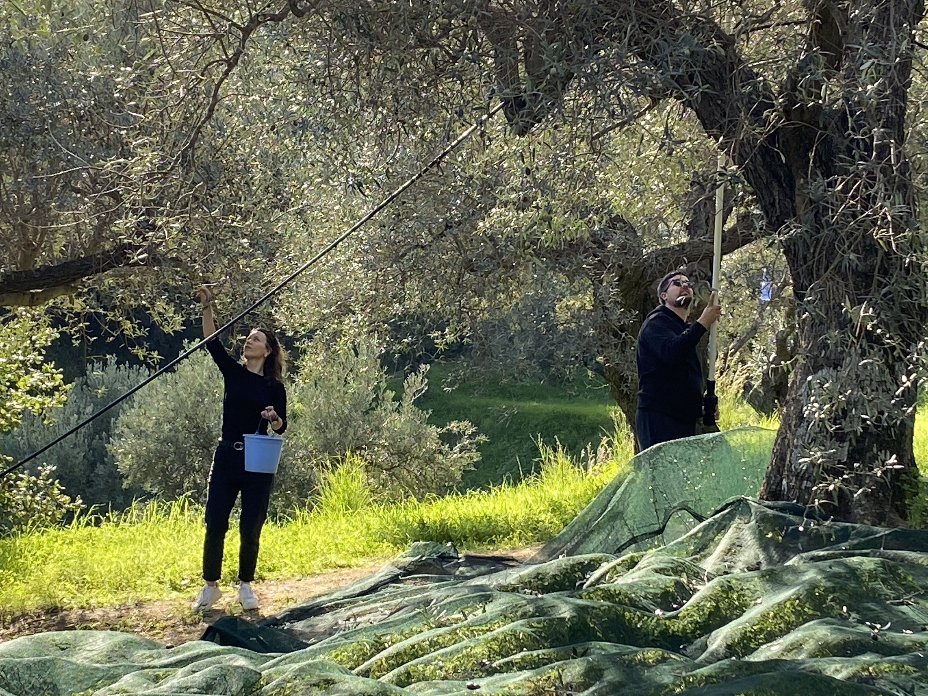 Two people standing on a grassy area with trees in the background.