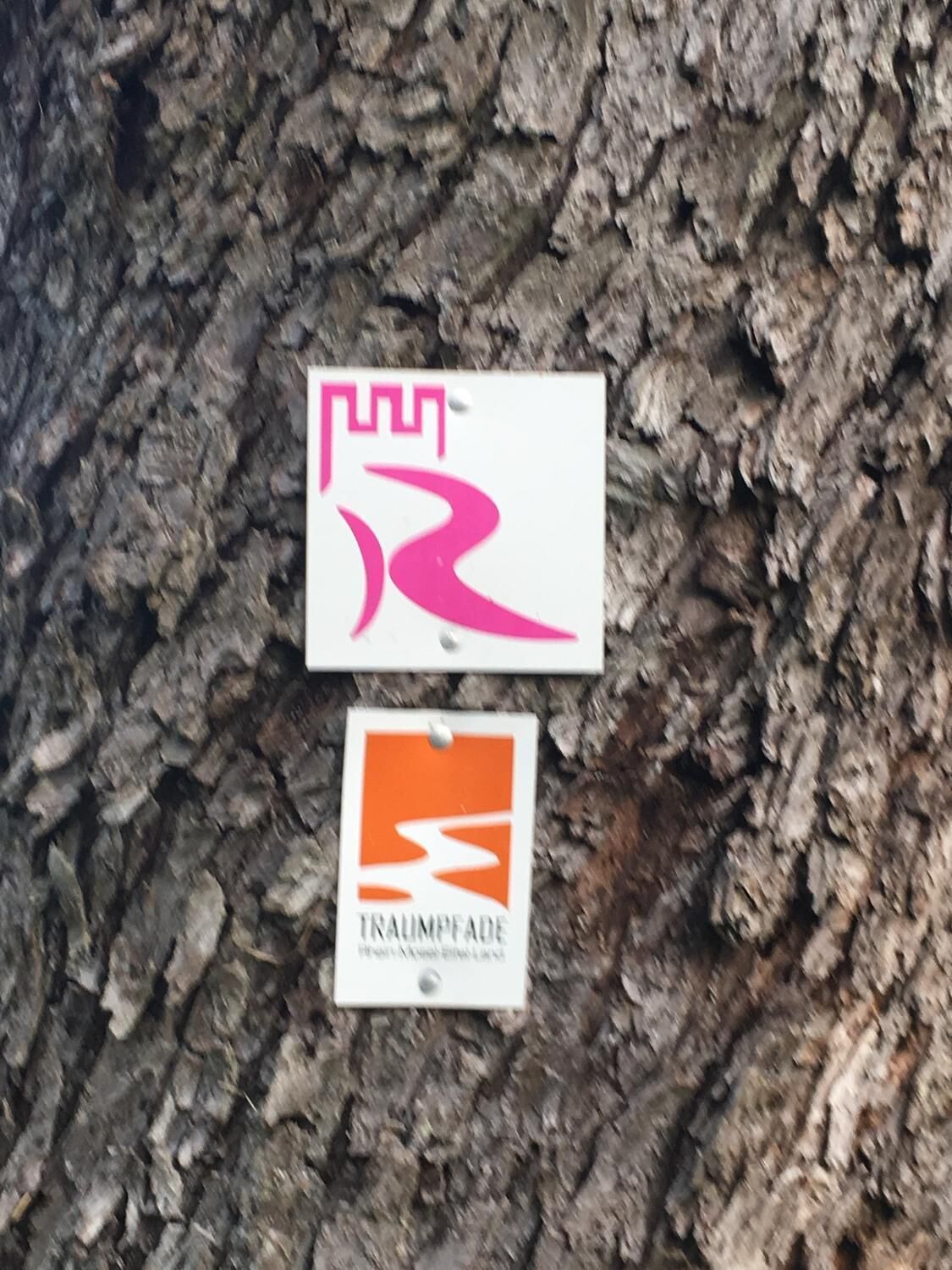 Duas placas fixadas num tronco de árvore.