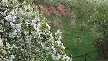 住宿地面