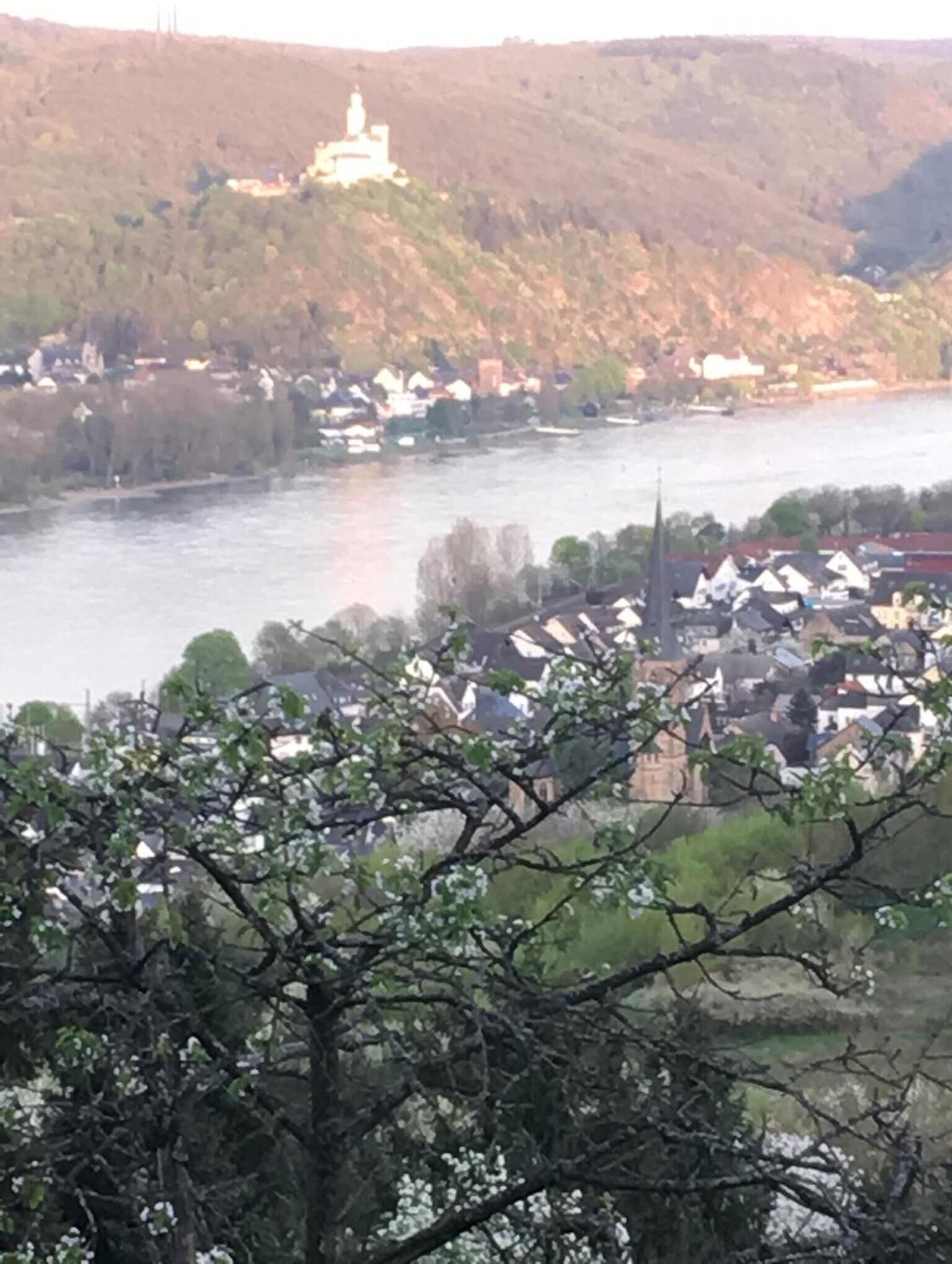 Ein Fluss mit einer Stadt am gegenüberliegenden Ufer, ein Hügel mit einem Gebäude und Bäume im Vordergrund.