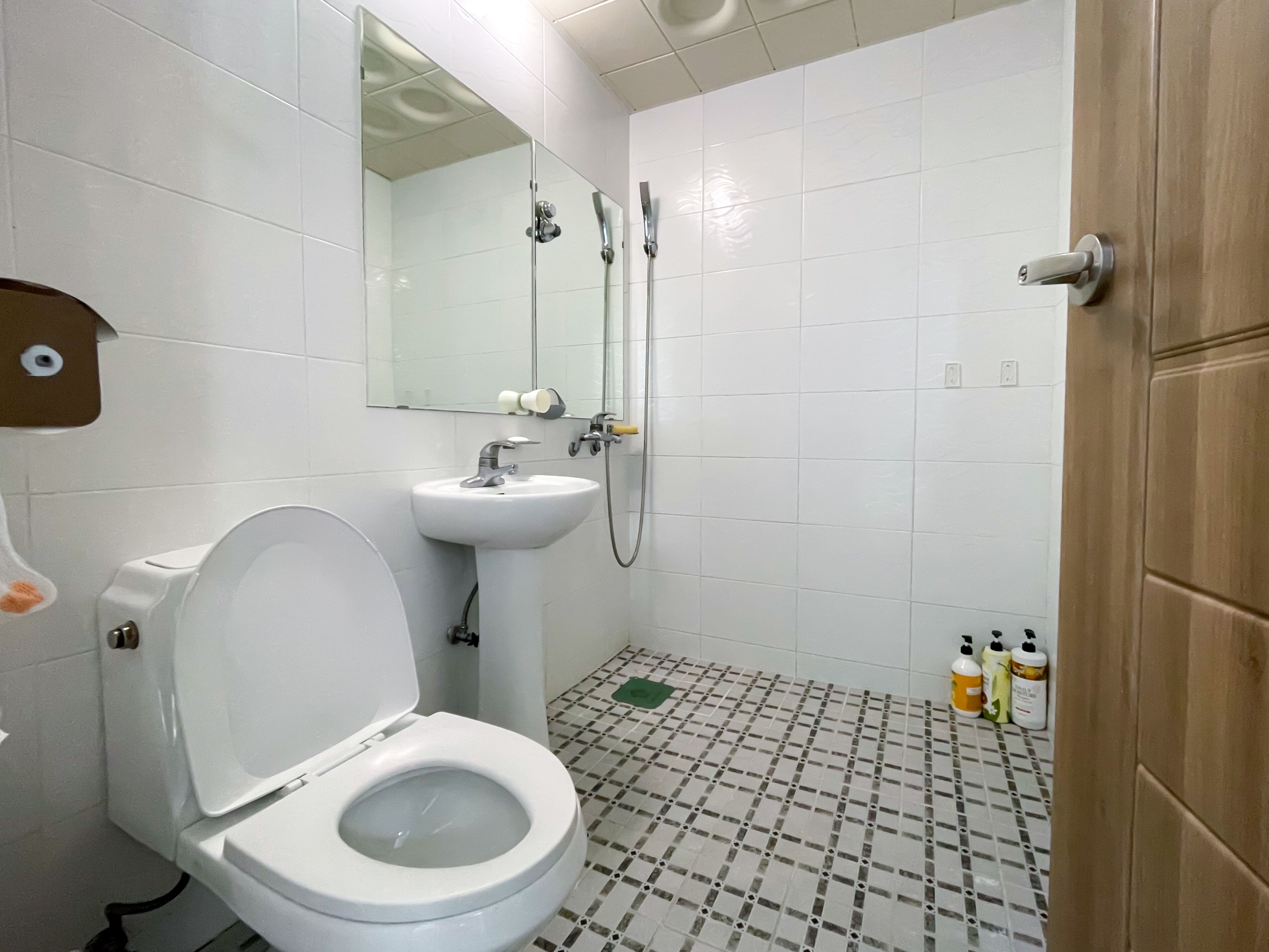 201 | Bathroom | Shower, free toiletries, hair dryer, slippers