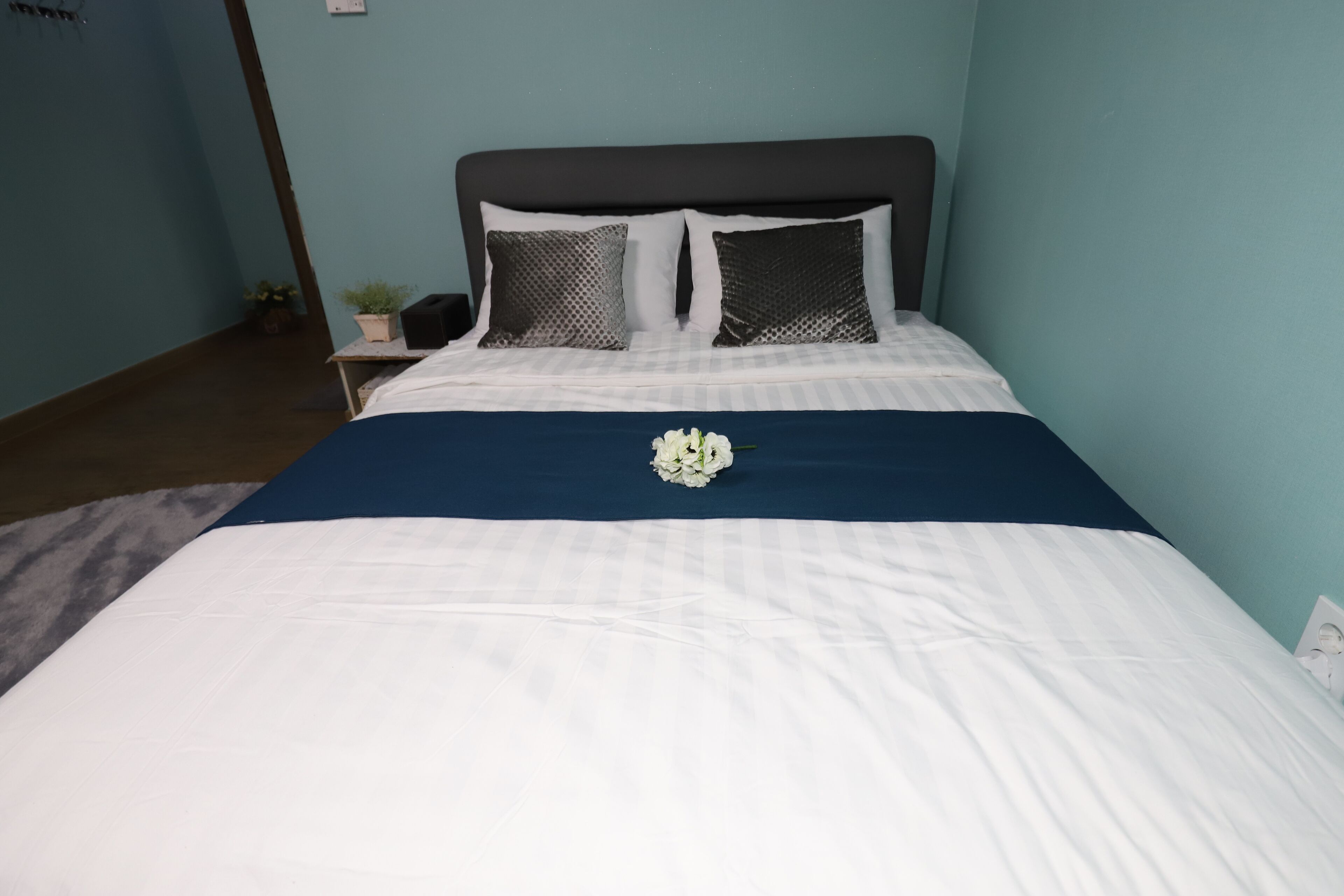 201 | Blackout drapes, free WiFi, bed sheets