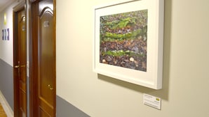 A hallway with wooden doors and a framed artwork on the wall. - Alda Puerta Coruña (A Coruña)