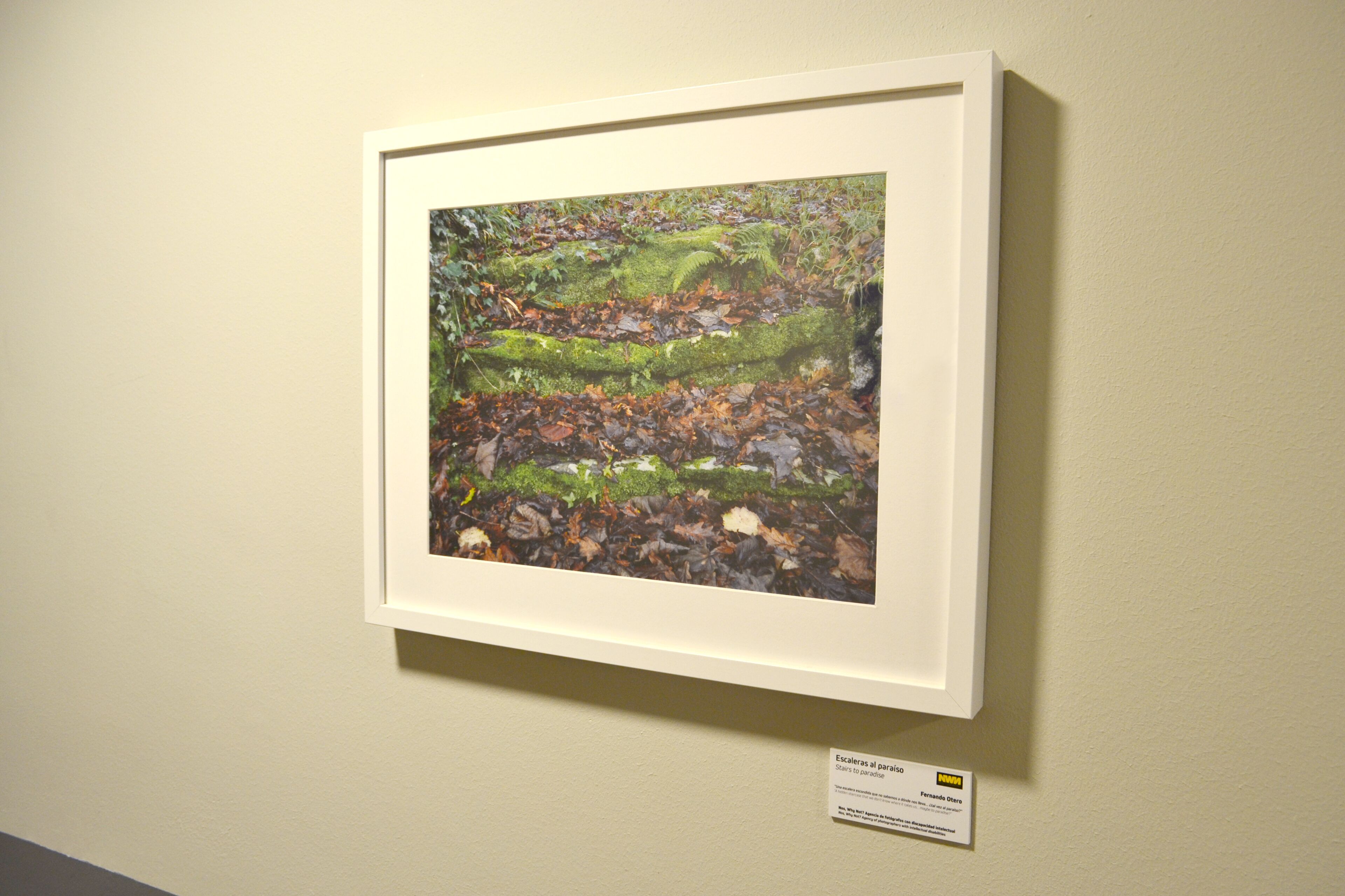 Foto - Alda Puerta Coruña