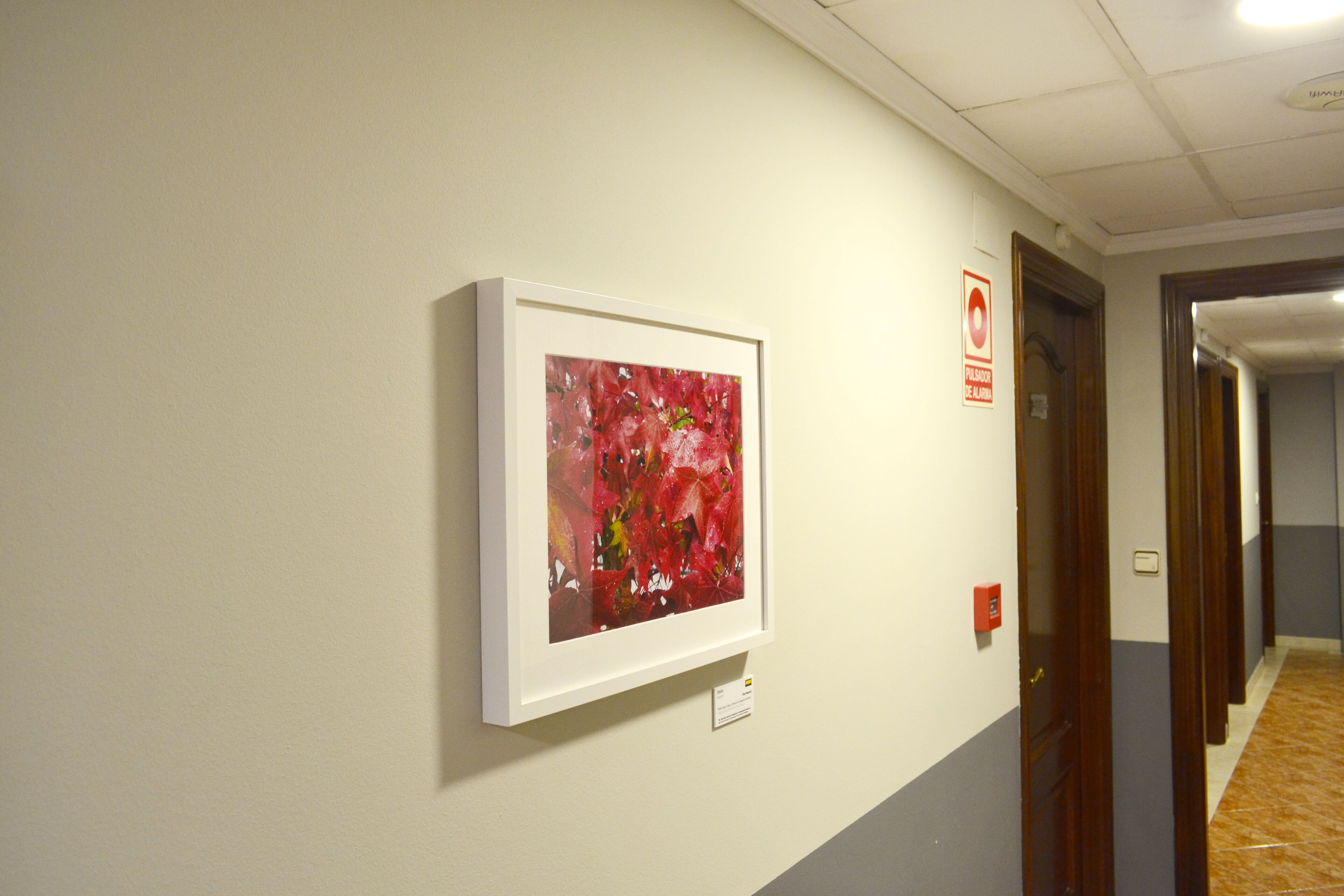 Foto - Alda Puerta Coruña