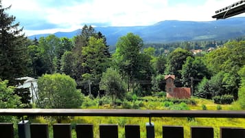 Vista desde la habitación