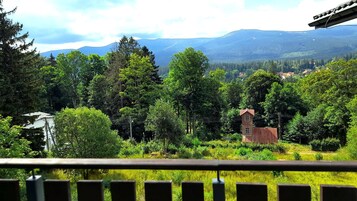 公寓 (D 12) | 客房景观