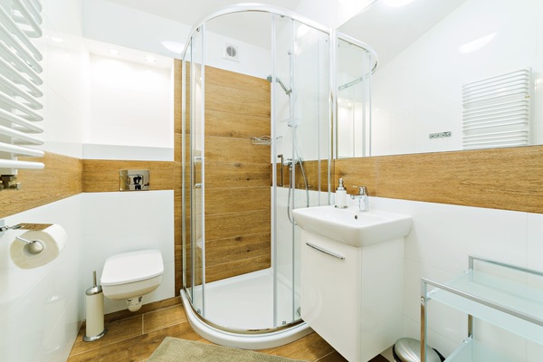 Apartment (D 12) | Bathroom | Shower, towels, toilet paper