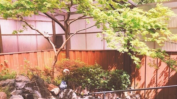 A koi pond with a stone bridge, surrounded by a wooden fence and greenery.