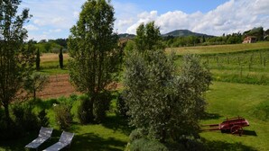 A vineyard with rows of grapevines, a red tractor, and two metal chairs in a lush green landscape with trees and distant houses. - Al Podere di Rosa (Lucca)
