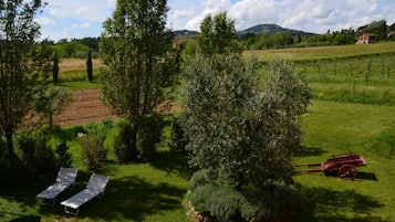 Parco della struttura