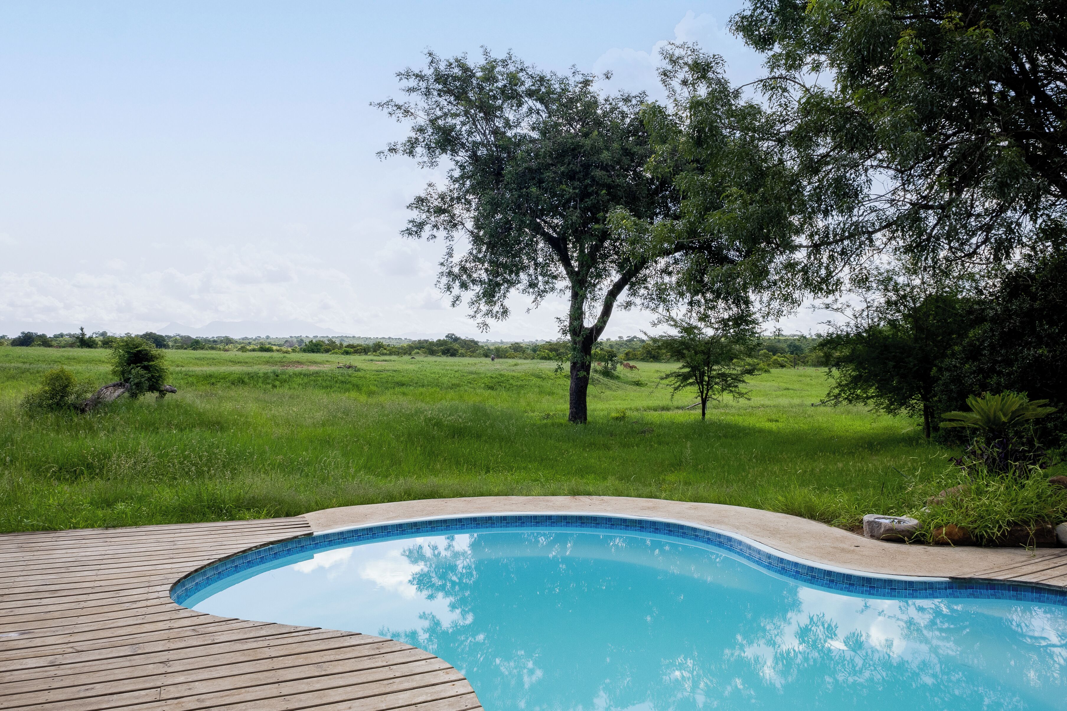 Una piscina al aire libre, tumbonas