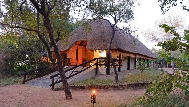 A thatched-roof building with a staircase leading to a wooden deck. - Tangala Safari Camp (Hoedspruit)